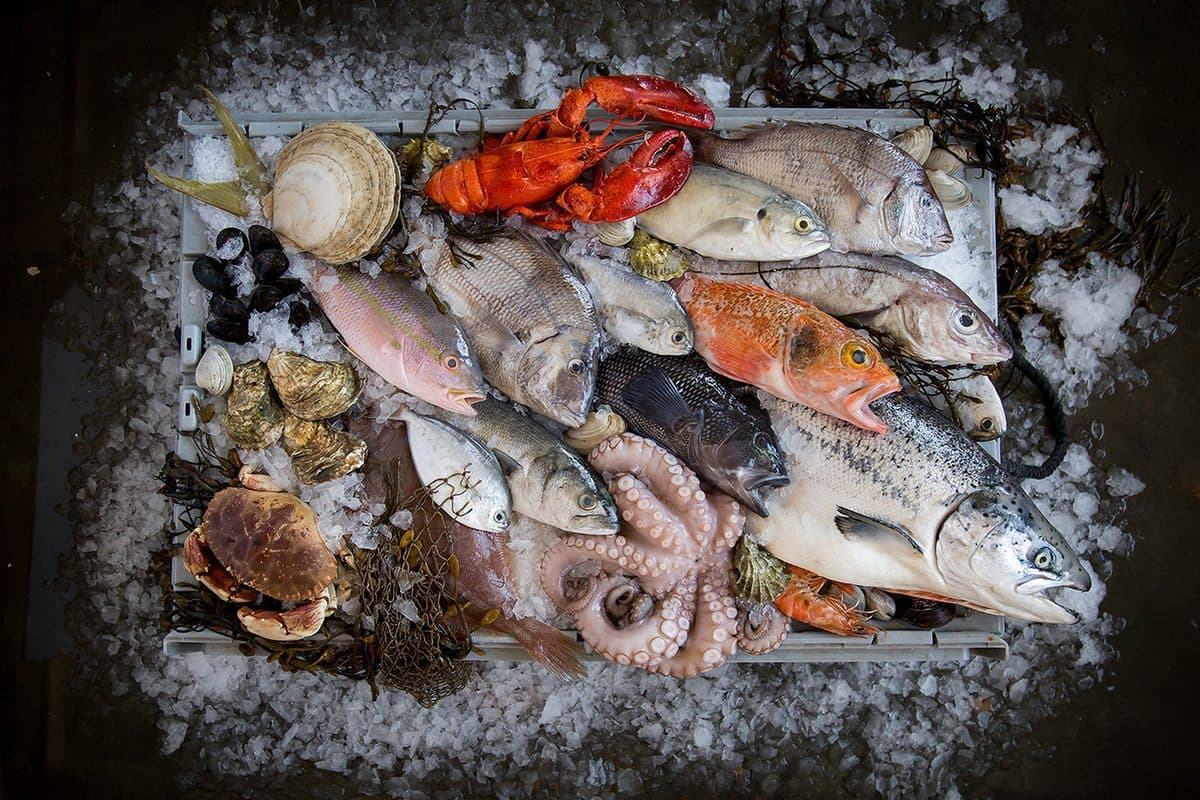 Étal de poissons et fruits de mer frais sur glace
